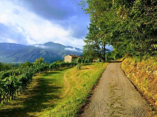 Le Capanne00114